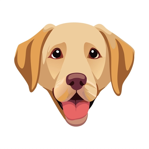 Dog Lovers Theme Labrador Dog Face Transparent Sticker